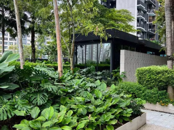 整套出租 • 武吉巴督 •  Le Quest • S$2900 • 执行公寓 • 495ft² / 45m² 照片