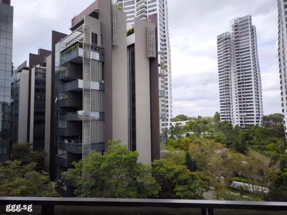 房屋出售 • 诺维娜 •  Leedon Green • S$3350000 • 共管公寓 • 1044ft² / 96m² 照片