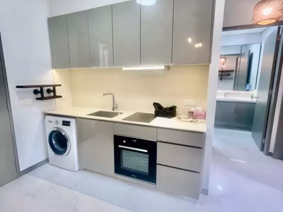 整套出租 • 兀兰 •  Robin Residences • S$3900 • 共管公寓 • 538ft² / 49m² 照片