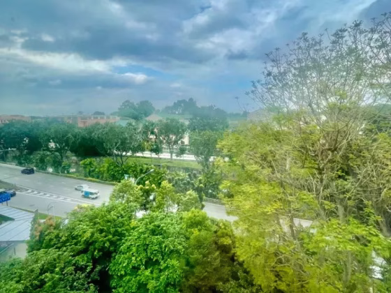 整套出租 • 兀兰 •  Robin Residences • S$3900 • 共管公寓 • 538ft² / 49m² 照片