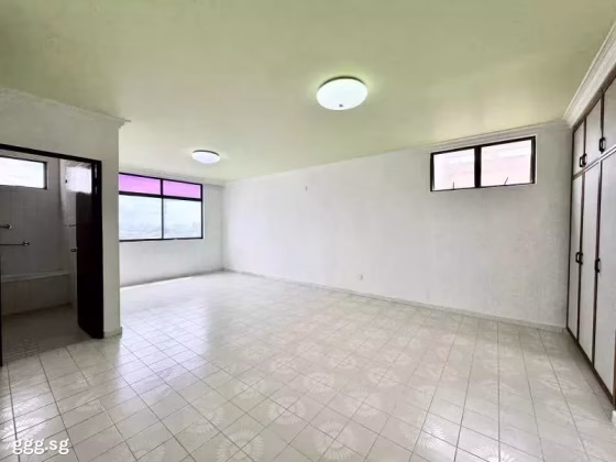 房屋出售 • 武吉知马 •  Windy Heights • S$5600000 • 共管公寓 • 4983ft² / 462m² 照片