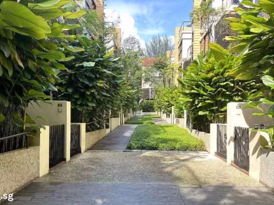 整套出租 • 诺维娜 •  Eleven @ Holland • S$11500 • 双拼别墅 • 3735ft² / 346m² 照片