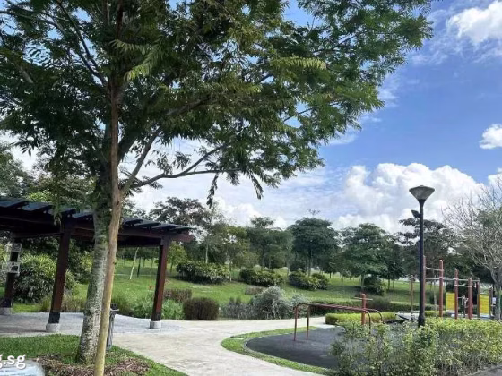 整套出租 • 诺维娜 •  Eleven @ Holland • S$11500 • 双拼别墅 • 3735ft² / 346m² 照片