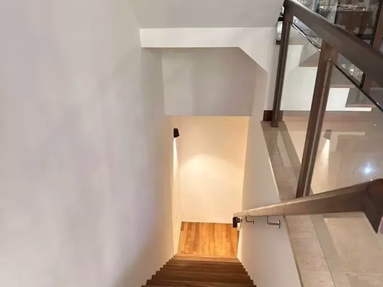 整套出租 • 诺维娜 •  Eleven @ Holland • S$11500 • 双拼别墅 • 3735ft² / 346m² 照片