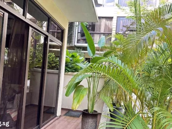 整套出租 • 诺维娜 •  Eleven @ Holland • S$11500 • 双拼别墅 • 3735ft² / 346m² 照片