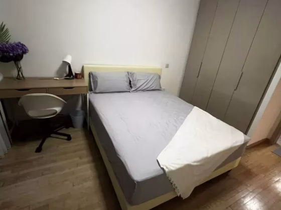 单间出租 • 武吉知马 •  Optima @ Tanah Merah • S$2050 • 共管公寓 • 主人房 照片