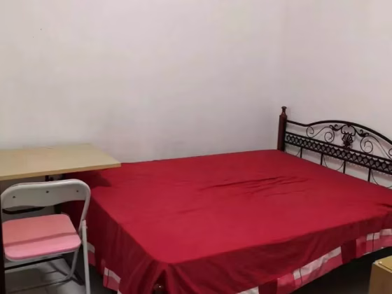 单间出租 • 纽顿 •  D'mira • S$1200 • 住宅公寓 • 主人房 照片
