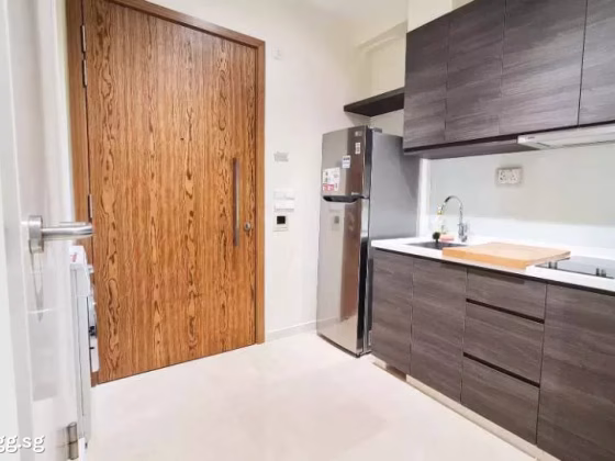 整套出租 • 纽顿 •  Cradels • S$2999 • 共管公寓 • 441ft² / 40m² 照片