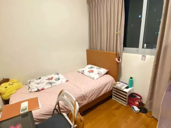 整套出租 • 中央集水区 •  Jade Residences • S$4800 • 住宅公寓 •  照片