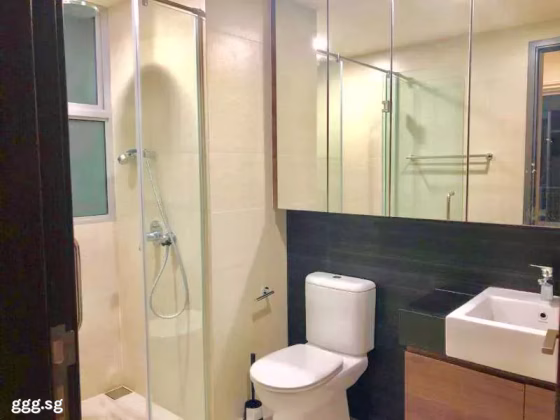 整套出租 • 中央集水区 •  Jade Residences • S$4800 • 住宅公寓 •  照片