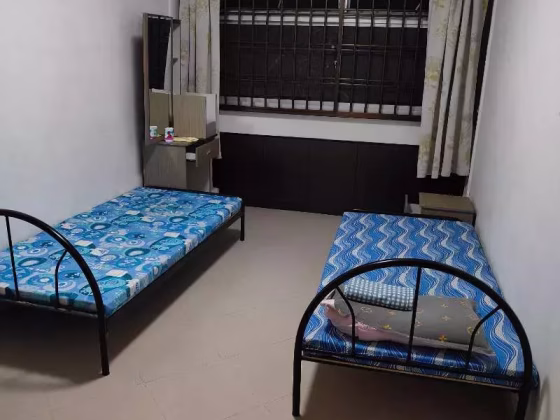 单间出租 • 西部集水区 • 347 Tampines Street 33 • S$500 • 3房(2臥室) • 床位出租 照片