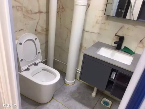 单间出租 • 林厝港 • 673B Jurong West Street 65 • S$400 • 4房(3臥室) • 佣人房 照片