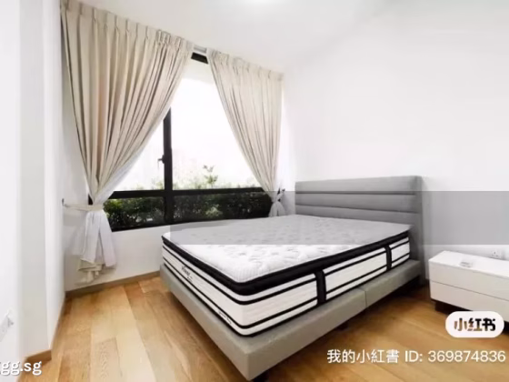 整套出租 • 市中心 •  Shunfu Ville • S$2800 • 执行公寓 • 528ft² / 49m² 照片