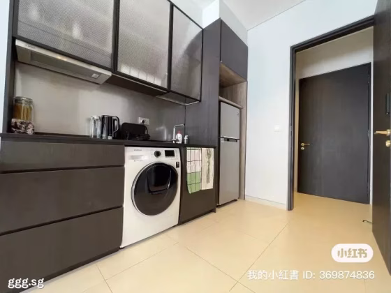 整套出租 • 市中心 •  Shunfu Ville • S$2800 • 执行公寓 • 528ft² / 49m² 照片