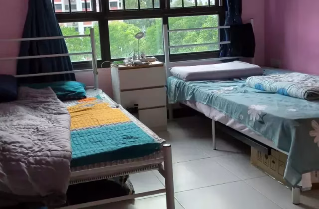 单间出租 • 林厝港 • 668B Jurong West Street 64 • S$550 • 4房(3臥室) • 普通房