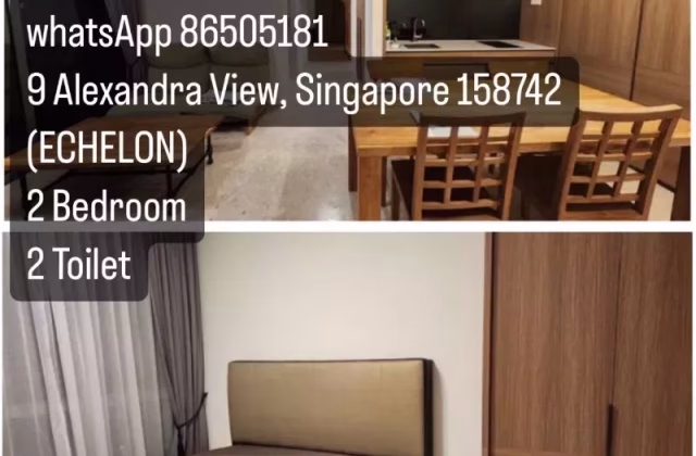 整套出租 • 金文泰 •  Echelon • S$3000 • 共管公寓 • 732ft² / 68m²