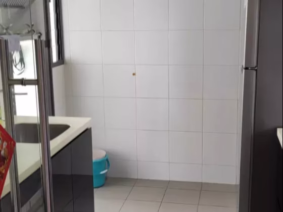 整套出租 • 樟宜湾 • 1E Cantonment Road • S$5200 • 4房(3臥室) • 1023ft² / 95m² 照片