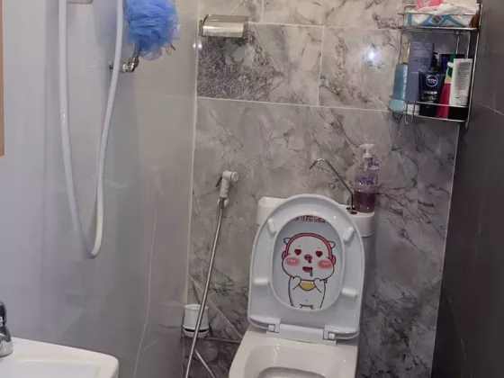 单间出租 • 新加坡河 •  Charlton Park • S$1500 • 联排排屋 • 主人房 照片