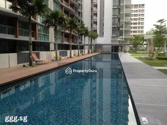 单间出租 • 西部集水区 •  Double Bay Residences • S$1350 • 住宅公寓 • 主人房 照片