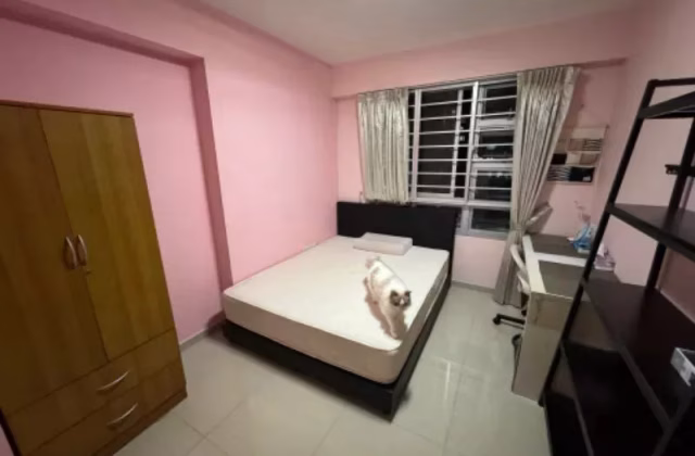 单间出租 • 樟宜 • 613C Punggol Drive • S$900 • 4房(3臥室) • 普通房