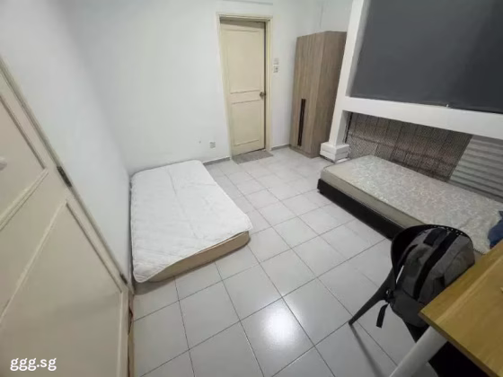 单间出租 • 南部群岛 •  Wilkie Road • S$1800 • 住宅公寓 • 主人房 照片