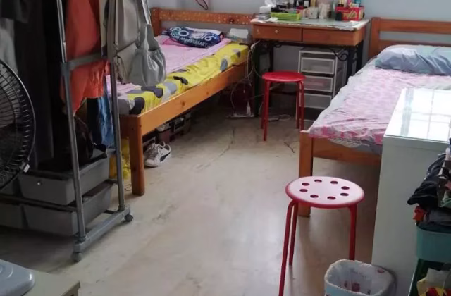 单间出租 • 西部集水区 • 232 Tampines Street 21 • S$600 • 3房(2臥室) • 床位出租