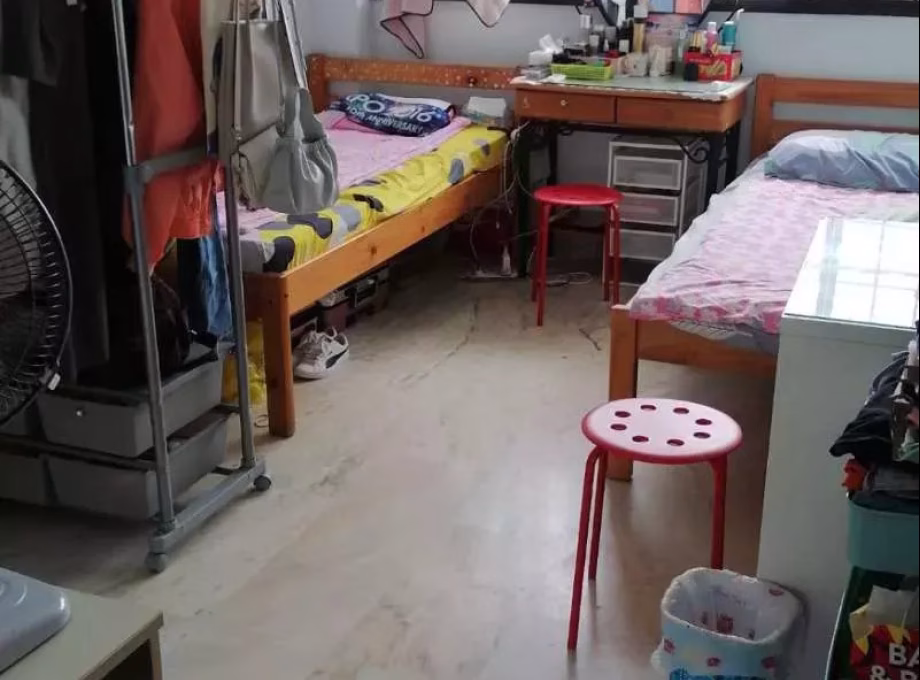 单间出租 • 西部集水区 • 232 Tampines Street 21 • S$600 • 3房(2臥室) • 床位出租 照片