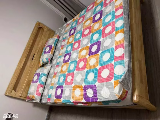 单间出租 • 红山 • 435 Bukit Panjang Ring Road • S$850 • 3房(2臥室) • 普通房 照片
