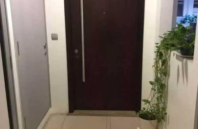 整套出租 • 欧南 •  D'weave • S$3800 • 共管公寓 • 600ft² / 55m²