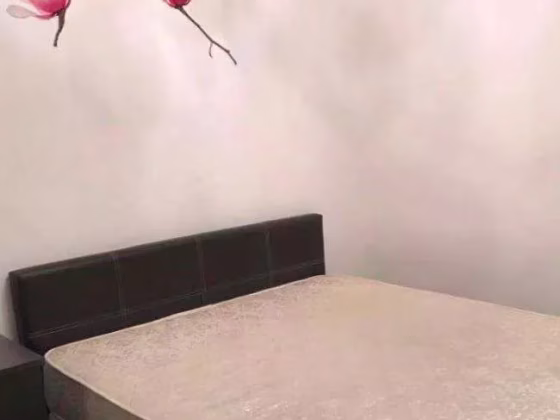 整套出租 • 欧南 •  D'weave • S$3800 • 共管公寓 • 600ft² / 55m² 照片