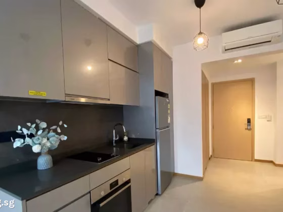 整套出租 • 欧南 •  The Antares • S$3800 • 共管公寓 • 602ft² / 55m² 照片