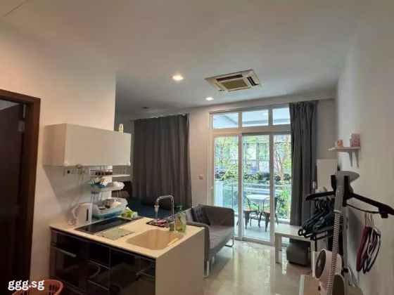 整套出租 • 蔡厝港 •  Parc Imperial • S$2999 • 共管公寓 • 366ft² / 34m² 照片