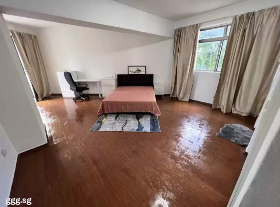 单间出租 • 巴耶利峇 •  Lakeside Tower • S$2000 • 住宅公寓 • 主人房 照片