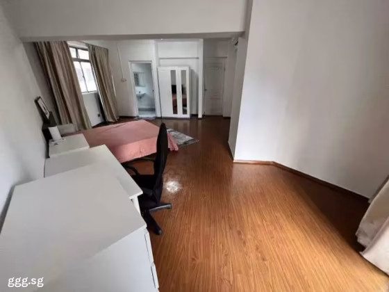 单间出租 • 巴耶利峇 •  Lakeside Tower • S$2000 • 住宅公寓 • 主人房 照片