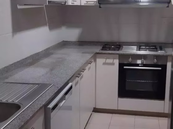 整套出租 • 武吉知马 •  Baywater • S$5900 • 共管公寓 • 1281ft² / 119m² 照片