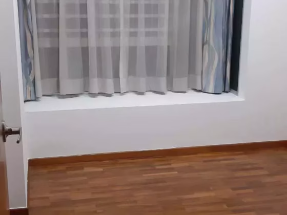 整套出租 • 武吉知马 •  Baywater • S$5900 • 共管公寓 • 1281ft² / 119m² 照片