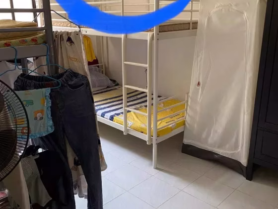 单间出租 • 蔡厝港 • 100 Commonwealth Crescent • S$500 • 3房(2臥室) • 床位出租 照片