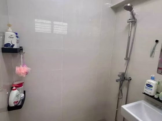 单间出租 • 梧槽 • 367 Yishun Ring Road • S$1200 • 4房(3臥室) • 主人房 照片