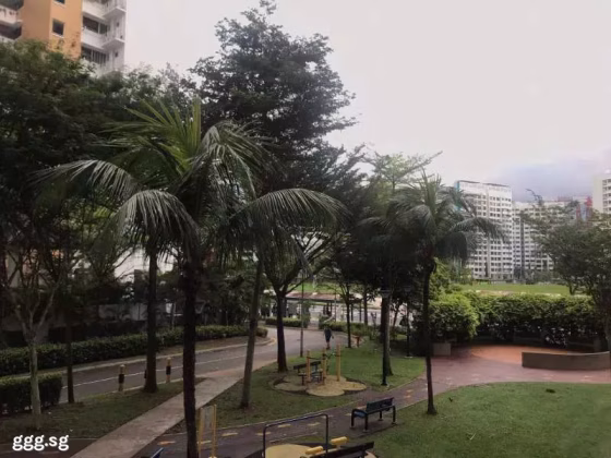 单间出租 • 梧槽 • 367 Yishun Ring Road • S$1200 • 4房(3臥室) • 主人房 照片
