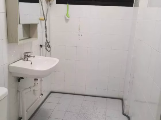 单间出租 • 武吉巴督 • 208 Bukit Batok Street 21 • S$1300 • 4房(3臥室) • 主人房 照片