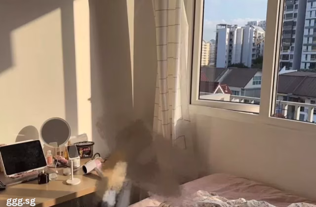 单间出租 • 博物馆 •  Suites @ Topaz • S$1500 • 住宅公寓 • 普通房