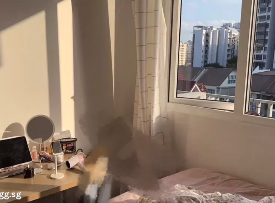 单间出租 • 博物馆 •  Suites @ Topaz • S$1500 • 住宅公寓 • 普通房 照片
