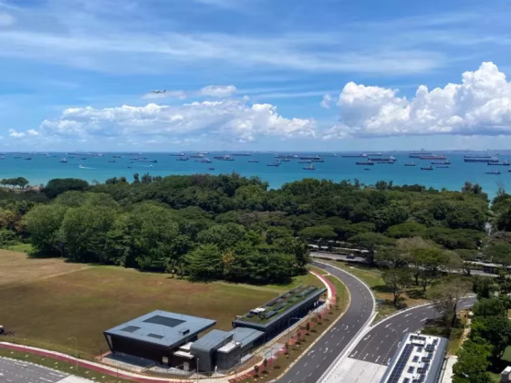 单间出租 • 武吉知马 •  The Bayshore • S$2000 • 住宅公寓 • 主人房 照片