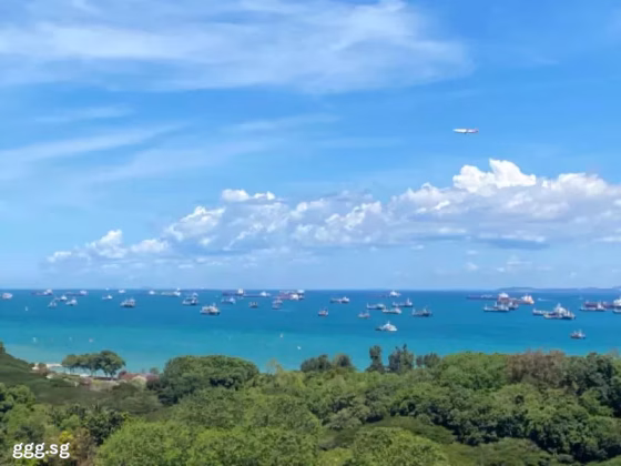 单间出租 • 武吉知马 •  The Bayshore • S$2000 • 住宅公寓 • 主人房 照片