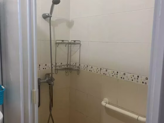 单间出租 • 市中心 • 128 Bishan Street 12 • S$1300 • 4房(3臥室) • 主人房 照片