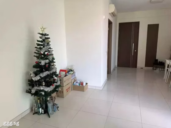 单间出租 • 蔡厝港 •  The Estrella • S$1300 • 住宅公寓 • 普通房 照片
