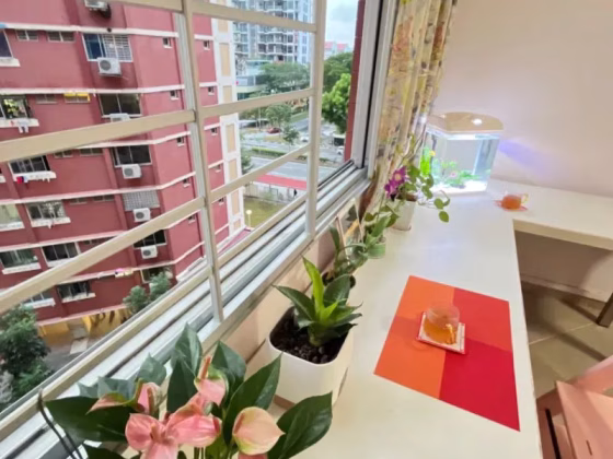 单间出租 • 新加坡河 • 363 Hougang Avenue 5 • S$1100 • 4房(3臥室) • 普通房 照片