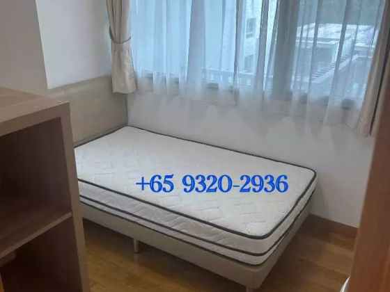 整套出租 • 博物馆 •  Eight Riversuites • S$3900 • 共管公寓 • 700ft² / 65m² 照片