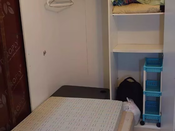 单间出租 • 诺维娜 •  1 King Albert Park • S$550 • 共管公寓 • 床位出租 照片