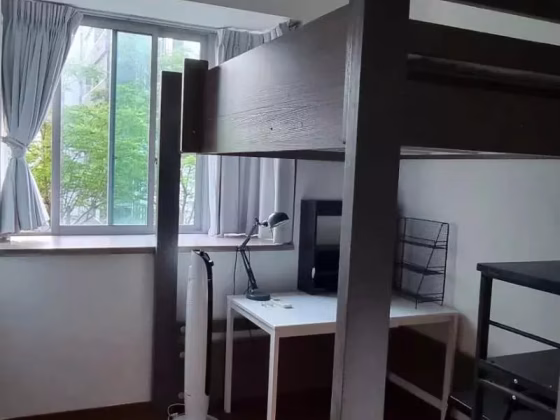 单间出租 • 碧山 •  Park Green • S$1000 • 共管公寓 • 普通房 照片